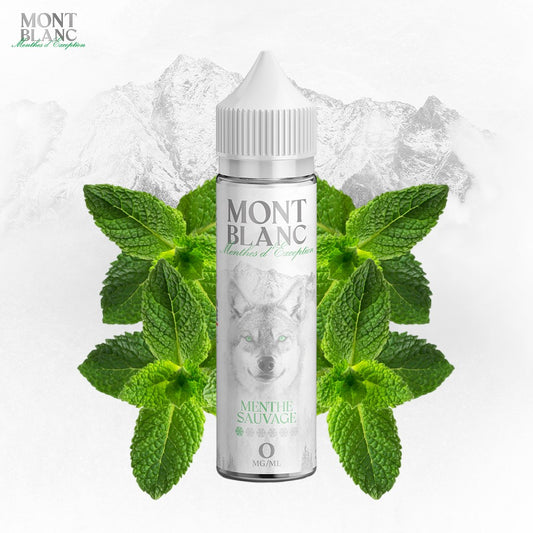 E-Liquid | Mont Blanc „Wilde Minze“ 50ml 