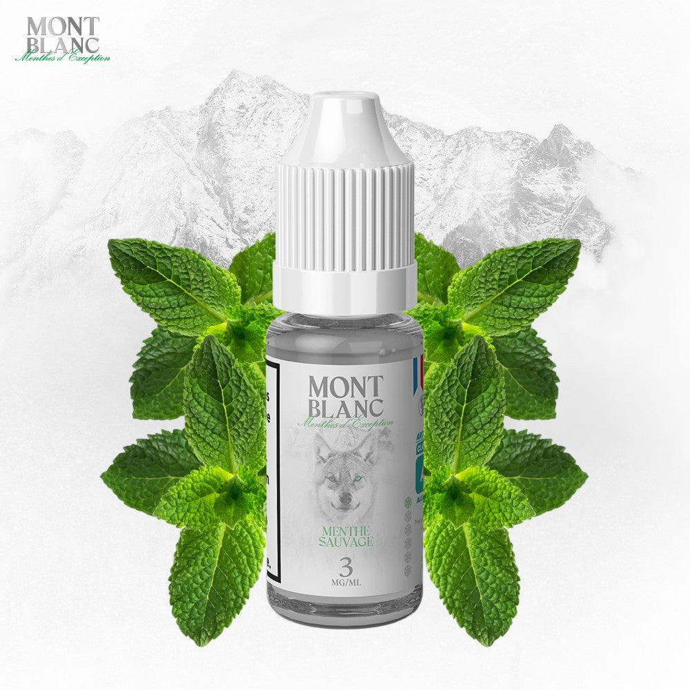 E-Liquid | Mont Blanc „Wilde Minze“ 10ml 