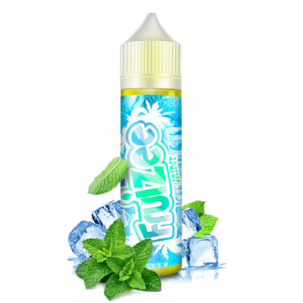 E-Liquid | Fruizee „Ice Mint“ 50ml